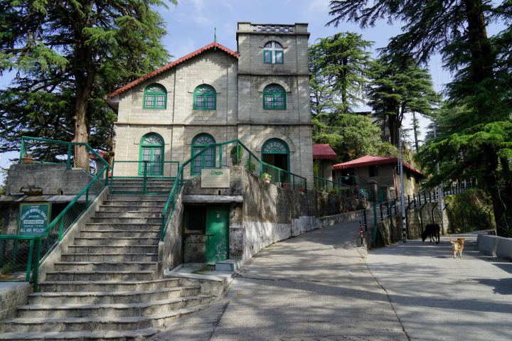 A grey stone church with green window frames and a red roof standing above a road on a wooded hillside, deodars closing in on both sides, a flight of stone steps with green railings climbing to its door, and two dogs on the empty road.