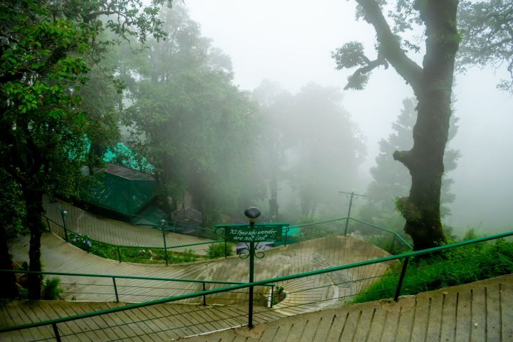 A wide paved walkway curving away downhill through deodars in thick mist, green metal railings along the drop, a small green board fixed to one of them lettered "All those who wander are not lost" with a dark dome lamp on the post above it, a big mossy trunk to the right, and the green roofs of two low buildings just showing through the fog on the left.